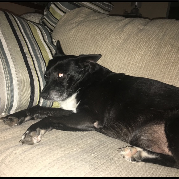 Meet your Posher, Tammy!!! - Picture 5 of 5